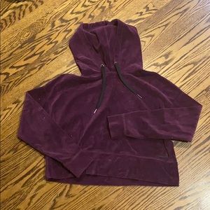 calvin klein velvet crop top